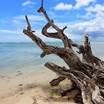 Bungalow d\'une chambre a Capesterre de Marie Galante a 300 m de la plage avec vue sur la mer terrasse amenagee et wifi